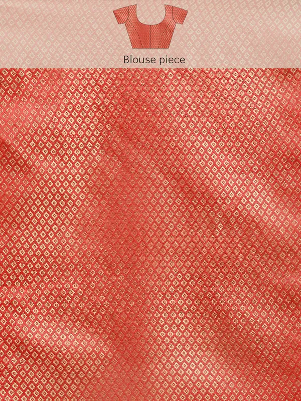 Indian_Women_Pink_Shimmer__Full_Saree_Fancy_Border_with_sequence_work_Beautiful_saree