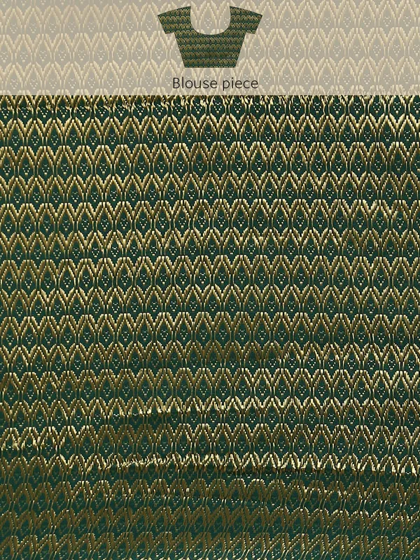 Green_Shimmer__Foil_Work_Beautiful_Saree