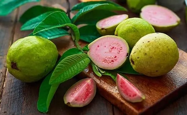Amrood_Pink_Flesh_Lalit_Guava_Variety_Fruit_Grafted_Air_Layering_Plant