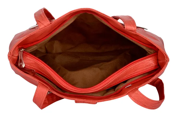 Exotique_Women's_Pink_Handbag_(HW0010PK)