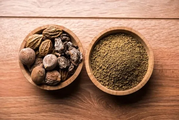 Haritaki__Plant_kadukkai_podi_Terminalia_chebula_Air_Layered_Plant_Haritika,Haritaki,Myroblans,Terminalia_Chebula,_chebulic_Myrobalan_Kadukka_Pack_of_1