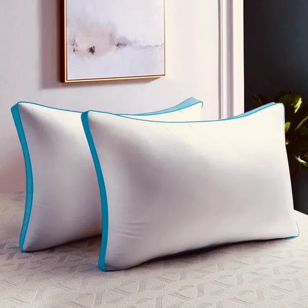 Pack_of_2_-_Homerz_Premium_Microfiber_Velvety_Gusset_Pillow,_Hotel_Quality_Pillow,_Plush_Soft_Microfiber_Fill,_18_x_28_inch_Size