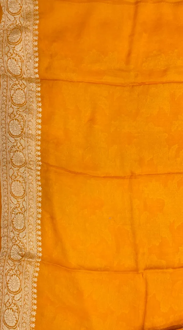 Humairah_Presents_Pure_Handloom_Gold_Contrast_Chiffon_Alfi_Gold_Zari_Jaal_and_Banarasi_Zari_Border_Saree_with_Gold_Blouse