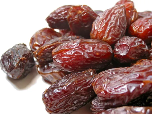Hybrid_Dates_Palm_Fruit_Plant_Tree_Grafted_Khajur