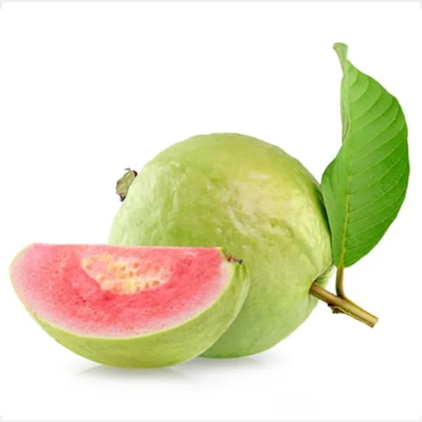 Hybrid_Red_Diamond_Guava_Plant_(Pack_Of_1)