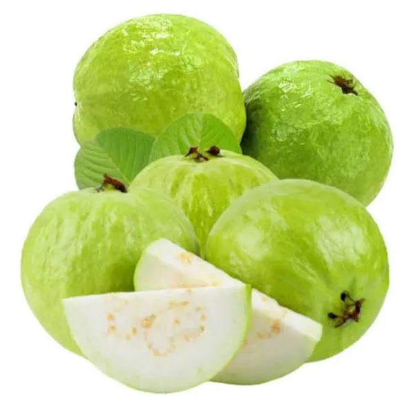 Thai_7_Guava_Hybrid_Fruit_Plant