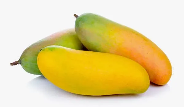 Hybrid_Thai_Banana_Mango_Grafting_Plant_(Pack_Of_1)