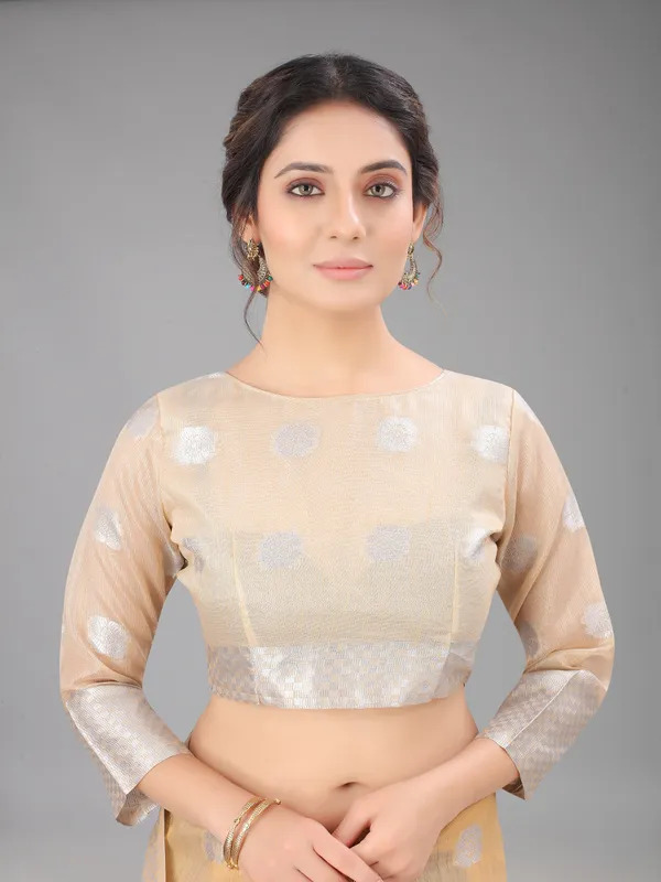 Chiku_Pure_Soft_Linen_Saree_With_Silver_Zari_Butta_For_Women