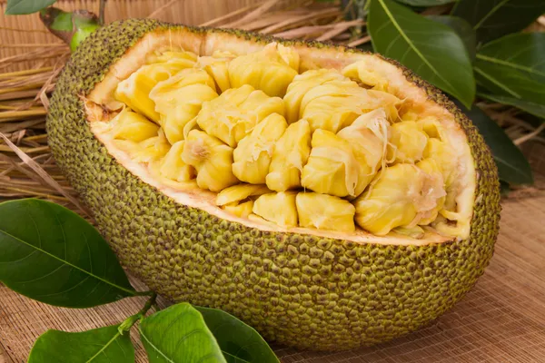 Indian_12_Month_Jackfruit_Plant_(Hybrid,_Pack_Of_1)