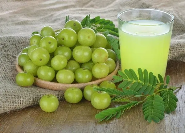 Indian_Amla_Fruit_Plant