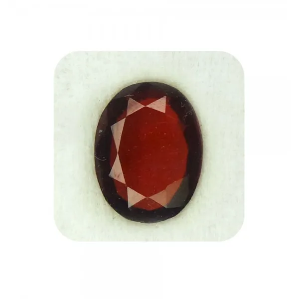 Free_Size_Brown