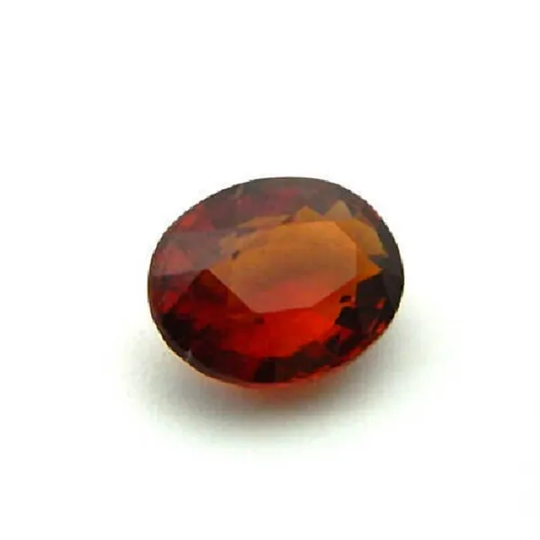 Free_Size_Brown