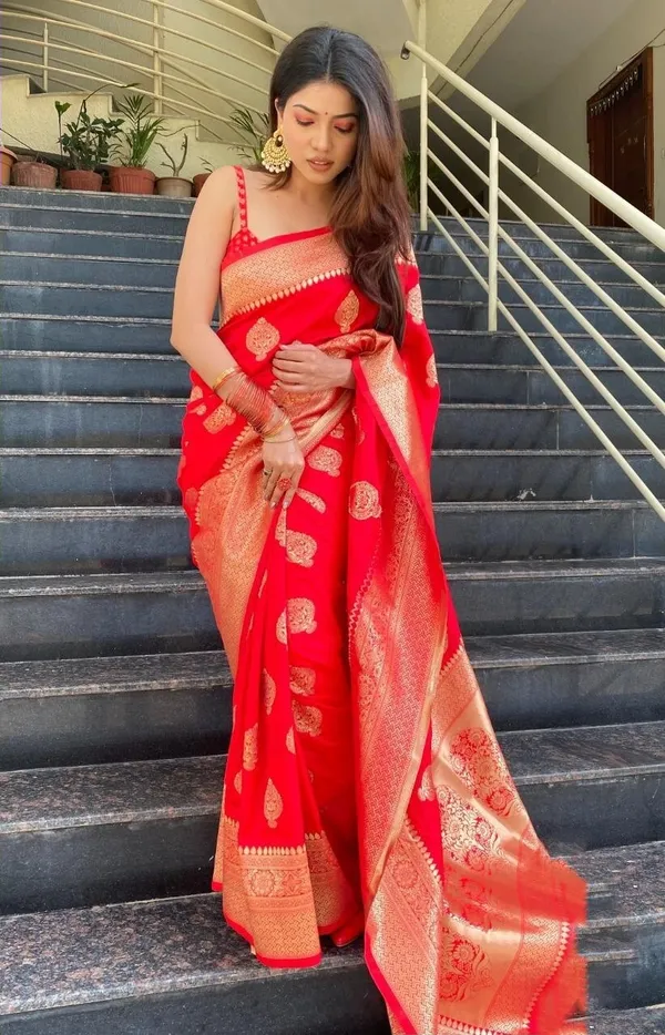 Red_Woven_Kanjivaram_Silk_Saree_with_Saree_Cover