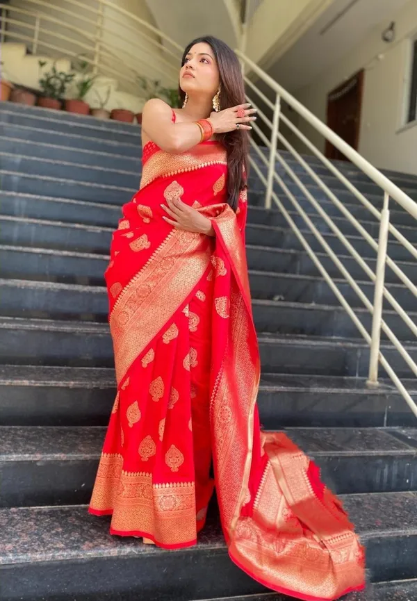 Red_Woven_Kanjivaram_Silk_Saree_with_Saree_Cover