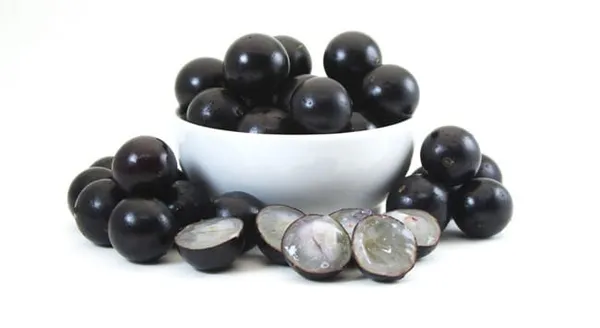 Jaboticaba_Fruit_Plant_(Pack_Of_1)