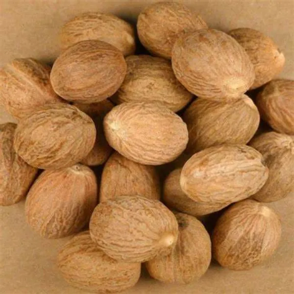 Jayaphal_/Jaiphal_Spice_Plant_(Hybrid,_Pack_Of_1)