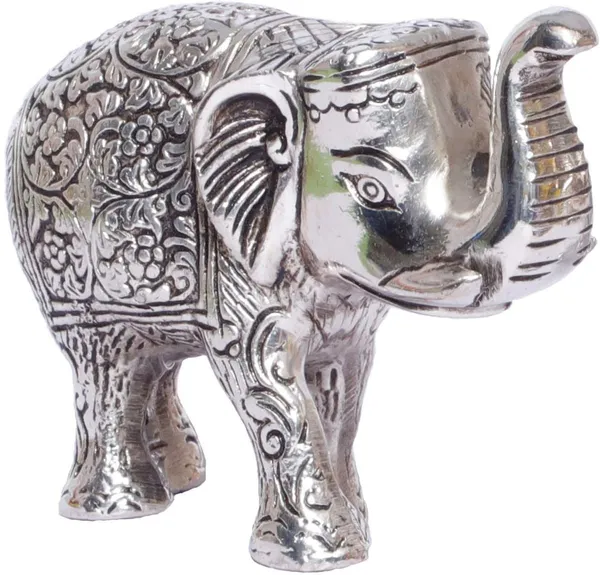 Elephant_Small_Size_Silver_Polish_For_Showpiece_Enhance_Your_Home