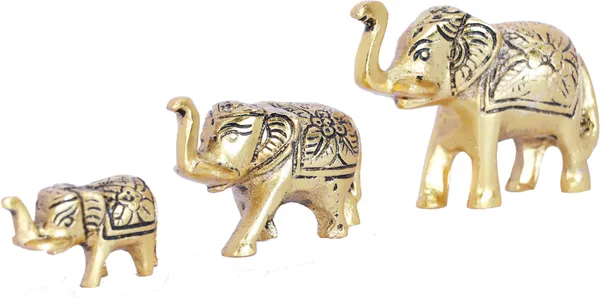 Elephant_Showpiece_Metal_Statue_Small_Size_Gold_Polish_3_pcs_Set_for_Decorative_Showpiece_Enhance_Your_Home,Office_Table_Decorative