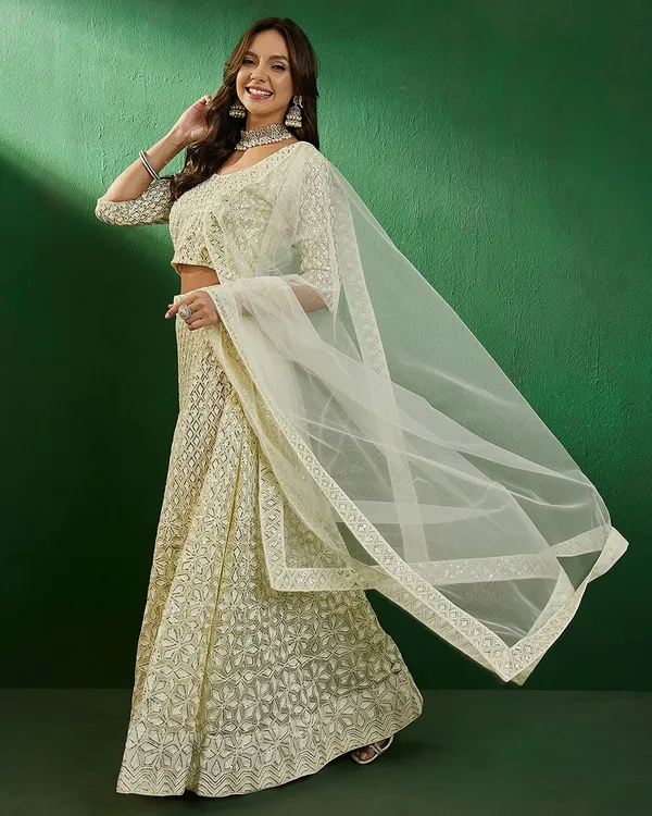 Beige_Net_Sequence_Embroidered_A-Line_Lehenga_Choli_With_Dupatta