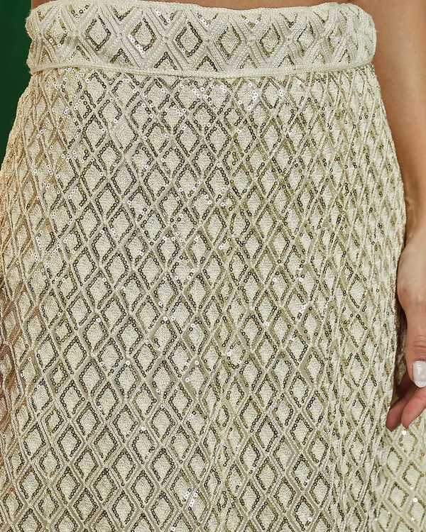 Beige_Net_Sequence_Embroidered_A-Line_Lehenga_Choli_With_Dupatta