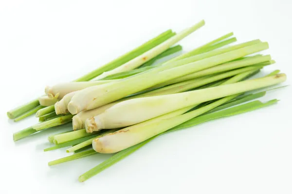 Lemon_Grass_Plant_(Pack_Of_1)