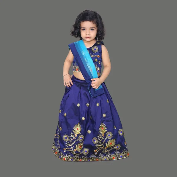 Girls_Lehenga_Choli_Ethnic_Wear_Embroidered_Lehenga_Choli