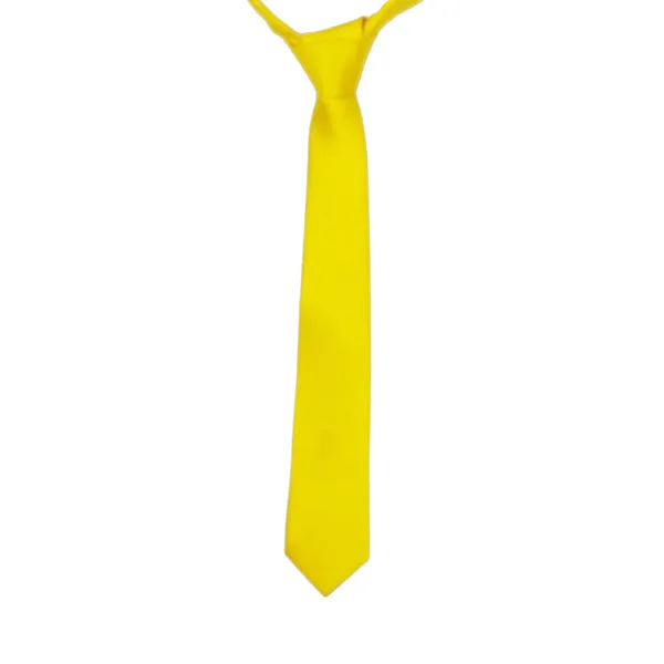 Exotique_Classic_Yellow_Satin_Neck_tie_For_Men_(MT0001YL)