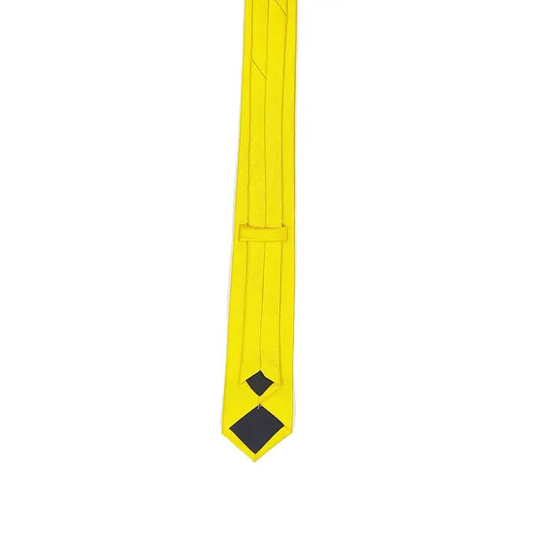 Exotique_Classic_Yellow_Satin_Neck_tie_For_Men_(MT0001YL)