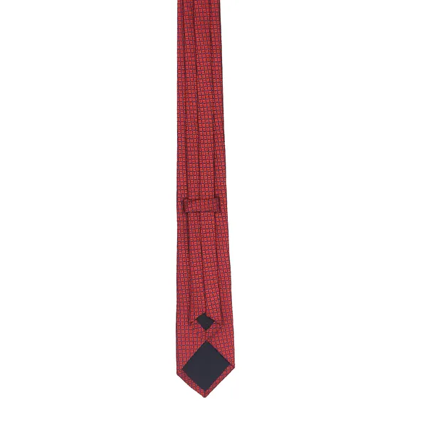 Exotique_Italian_Style_Red_&_Blue_Microfiber_Neck_tie_For_Men_(MT0004RD)
