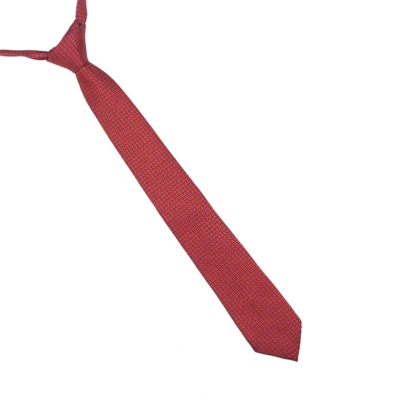 Exotique_Italian_Style_Red_&_Blue_Microfiber_Neck_tie_For_Men_(MT0004RD)