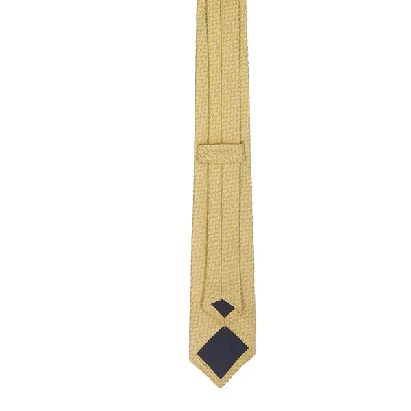 Exotique_The_Craven_Curve_Yellow_Microfiber_Neck_tie_For_Men_(MT0004YL)