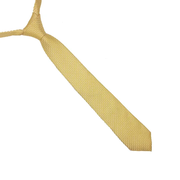 Exotique_The_Craven_Curve_Yellow_Microfiber_Neck_tie_For_Men_(MT0004YL)