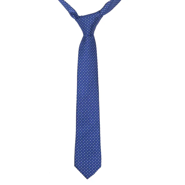 Exotique_Checkerd_Italian_Blue_&_White_Microfiber_Neck_tie_For_Men_(MT0005BL)