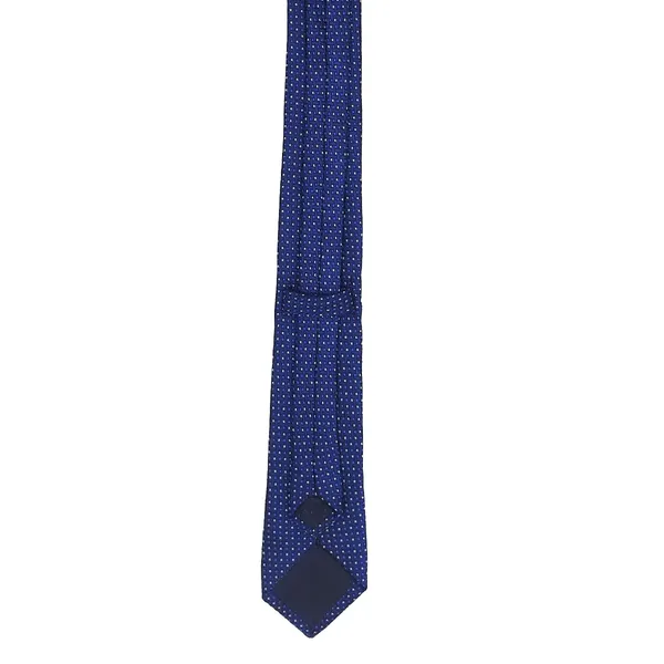 Exotique_Checkerd_Italian_Blue_&_White_Microfiber_Neck_tie_For_Men_(MT0006BL)