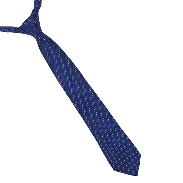 Exotique_Checkerd_Italian_Blue_&_White_Microfiber_Neck_tie_For_Men_(MT0006BL)