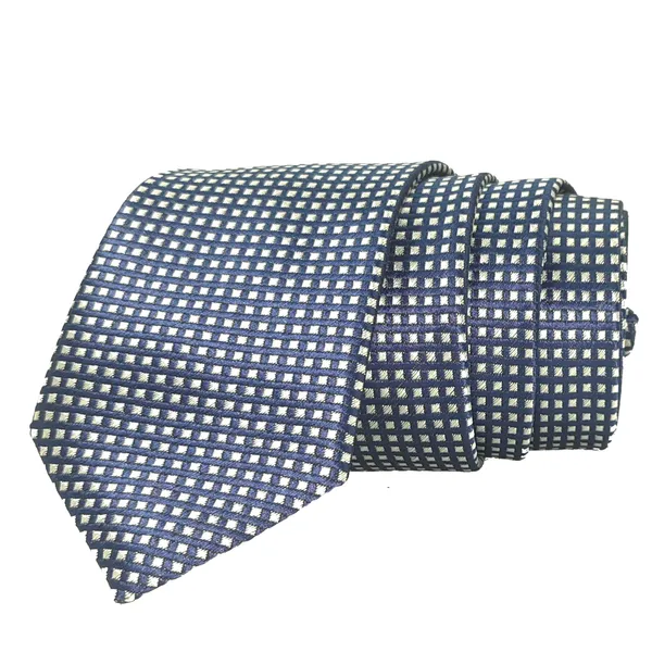Exotique_Mini_Squares_Blue_&_White_Microfiber_Neck_tie_For_Men_(MT0009BL)