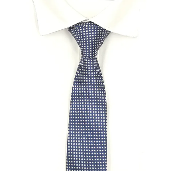 Exotique_Mini_Squares_Blue_&_White_Microfiber_Neck_tie_For_Men_(MT0009BL)