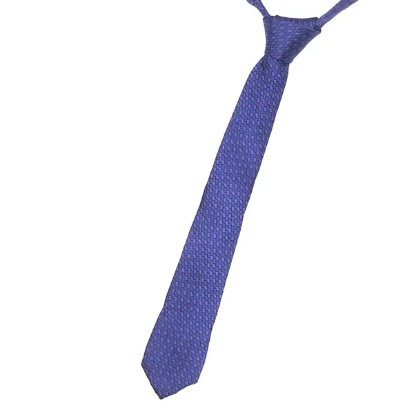 Exotique_Mini_Squares_Blue_&_Purple_Microfiber_Neck_tie_For_Men_(MT0009PL)