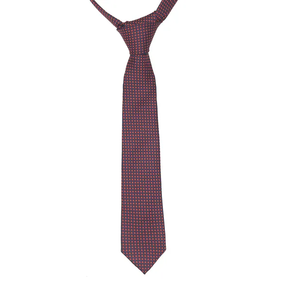 Exotique_Flowral_Italian_Black,Red_&_Blue_Microfiber_Neck_tie_For_Men_(MT0011MU)