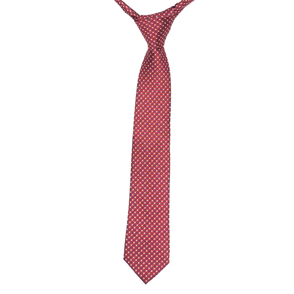 Exotique_Flowral_Italian_Red,Blue_&_White_Microfiber_Neck_tie_For_Men_(MT0010RD)