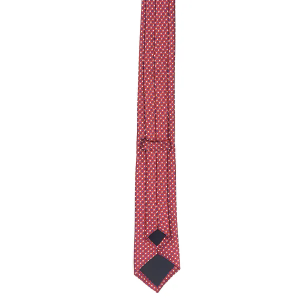 Exotique_Flowral_Italian_Red,Blue_&_White_Microfiber_Neck_tie_For_Men_(MT0010RD)