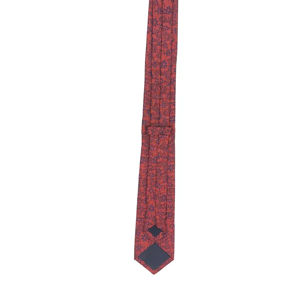 Exotique_Cleaning_Cut_Red_&_Blue_Microfiber_Neck_tie_For_Men_(MT0012RD)
