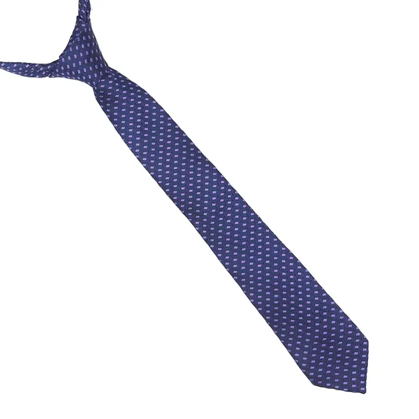 Exotique_Mini_Squares_Blue_&_Purple_Microfiber_Neck_tie_For_Men_(MT0013BL)