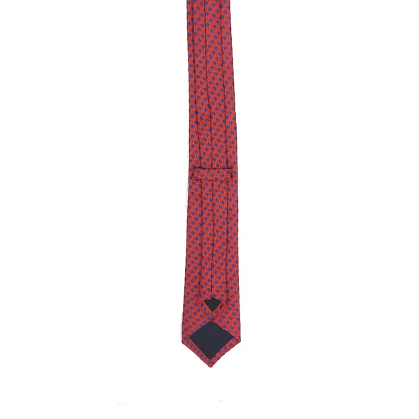 Exotique_Mini_Squares_Red_&_Blue_Microfiber_Neck_tie_For_Men_(MT0013RD)