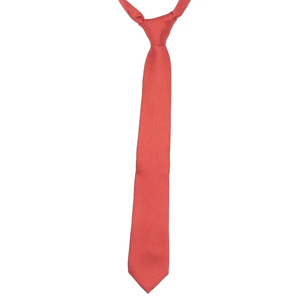 Exotique_Sprawling_Cut_Red_&_Blue_Microfiber_Neck_tie_For_Men_(MT0017RD)