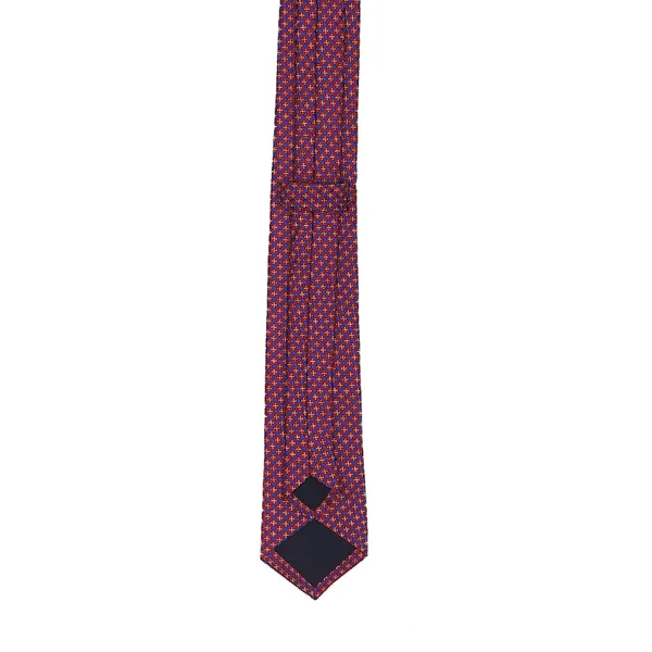 Exotique_Dotting_Red,White_&_Blue_Microfiber_Neck_tie_For_Men_(MT0018MU)