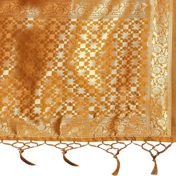 Mesmerizing_rich_dual_tone_banarasi_woven_saree_with_tassels