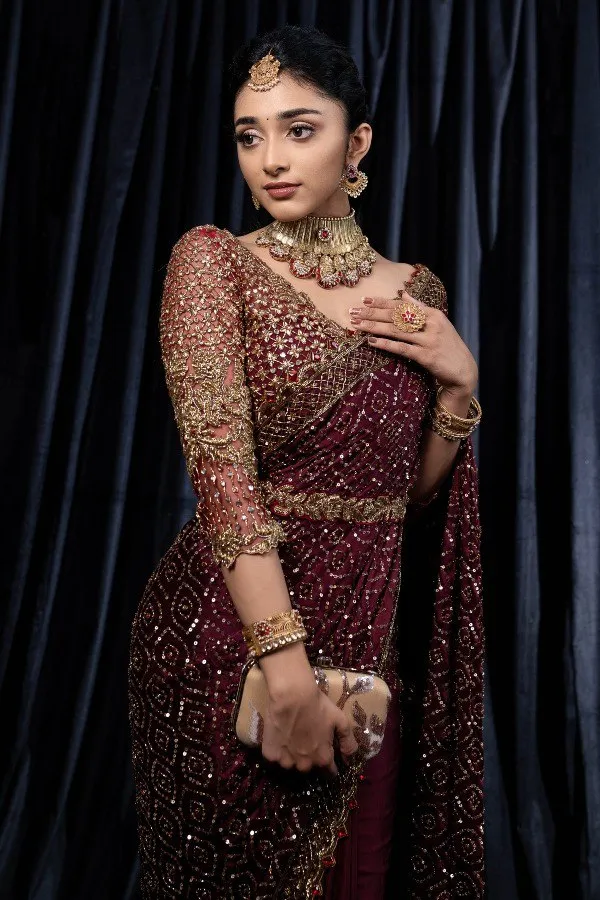 Magenta_Maroon_Silk_Georgette_Sequins_Work_With_Embroidered_Designer_Saree