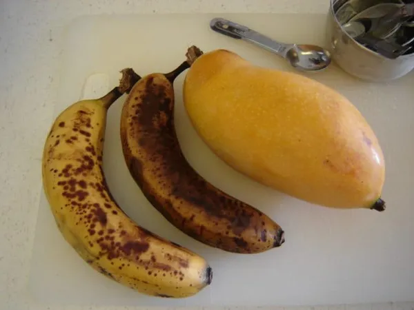 Mango_Yellow_Banana_Variety_Grafted_Aam_Fruit_Plants_&_Tree(1.5-2_Ft_Size)
