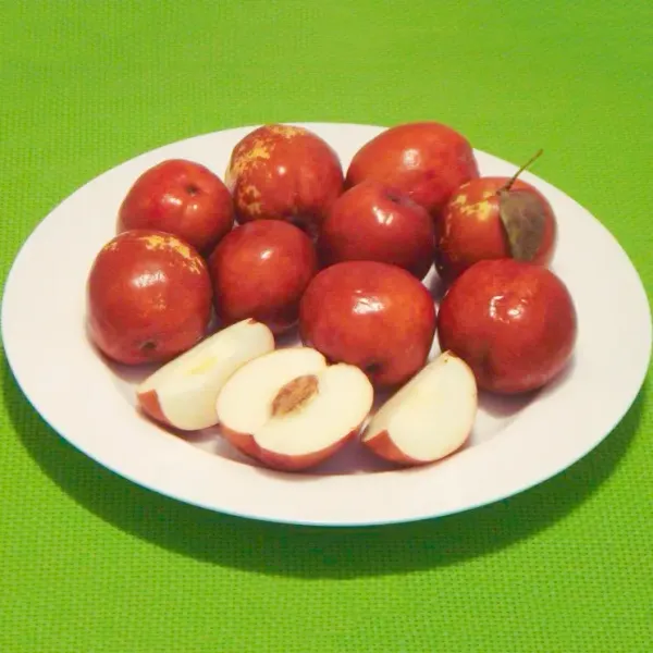 Red_Miss_India_Apple_Ber_Hybrid_Grafted_Fruit_Plant